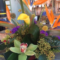 Charlotte County Flowers