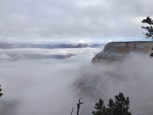 Verkamp's Visitor Center by null