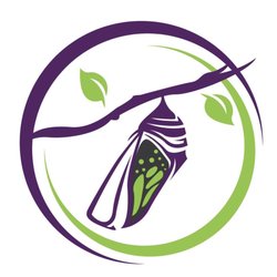 Metamorphosis Massage - The picture logo