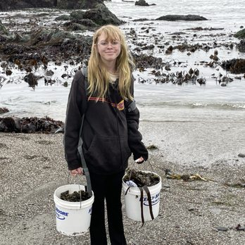 Fork in the Path - Definitely enough seaweed to store and share with friends. - Hiking Near Me