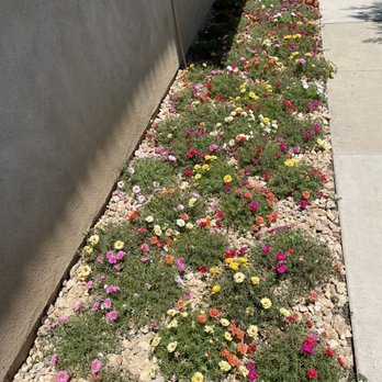 Juan Landscaping - New garden area near front walkway. - Landscaping Near Me
