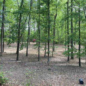 Wolfe Forestry Mulching - Almost done - Tree Services Near Me Wolfe Forestry Mulching - Almost done - Tree Services Near Me