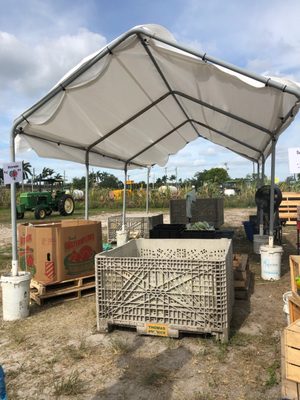 Thomas Produce Company