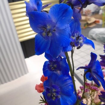 Simply Beautiful Flowers - Amazing color - wow! - Florists Near Me - Anoka, Minnesota Simply Beautiful Flowers - Amazing color - wow! - Florists Near Me - Anoka, Minnesota