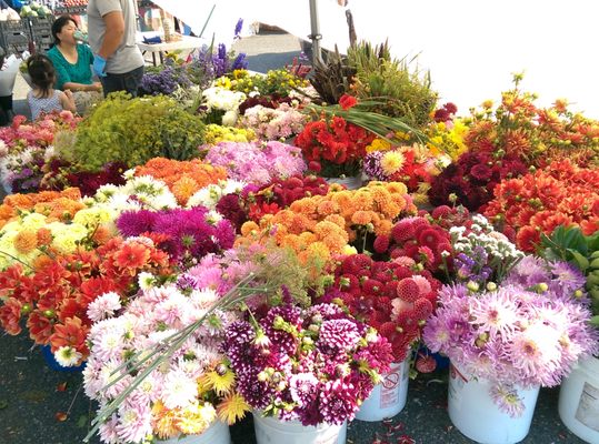 Federal Way Farmers Market by null