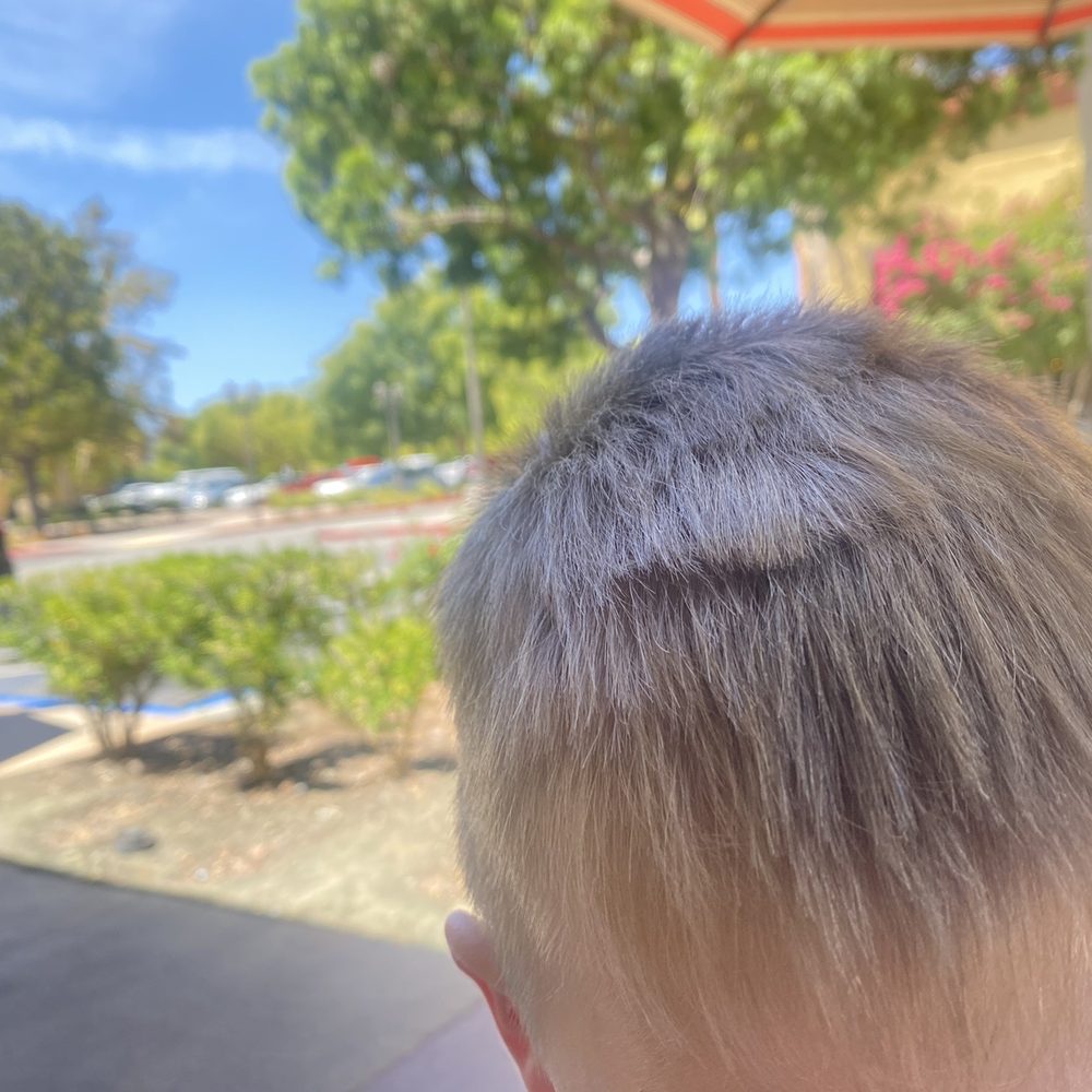 Multiple ugly, hard defined lines at the top of his head from the shears.