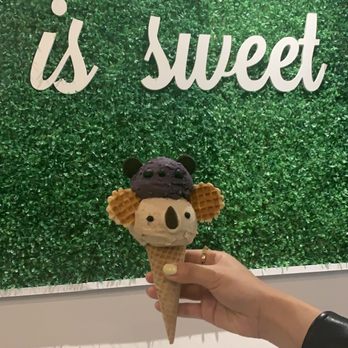 Eli's Ark - Gelato Near Me - Chicago, Illinois
