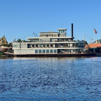 Paddlefish - Seafood Near Me - Orlando, Florida Paddlefish - Seafood Near Me - Orlando, Florida