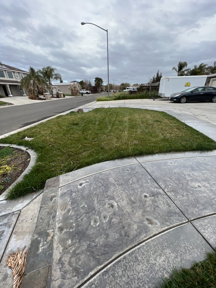 SUPREME LANDSCAPE Updated May 2024 Tracy, California Lawn