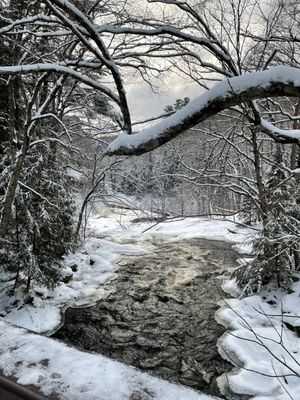 Arrowhead Provincial Park by null