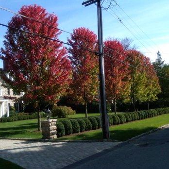 Lucente Landscaping - Designed and installed by Lucente - Landscaping Near Me - New Rochelle, New York