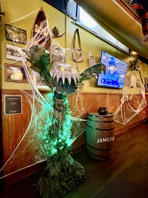 Campus Lounge by null