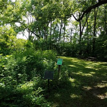 Kile Oak - open greenspace in the shade and a habitat garden that can thrive even with so much shade - Parks Near Me - Indianapolis, Indiana Kile Oak - open greenspace in the shade and a habitat garden that can thrive even with so much shade - Parks Near Me - Indianapolis, Indiana