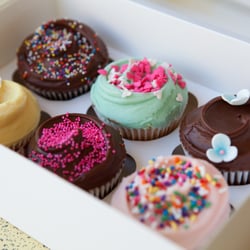 Primrose Bakery - Assorted Cupcakes and Gift Boxes