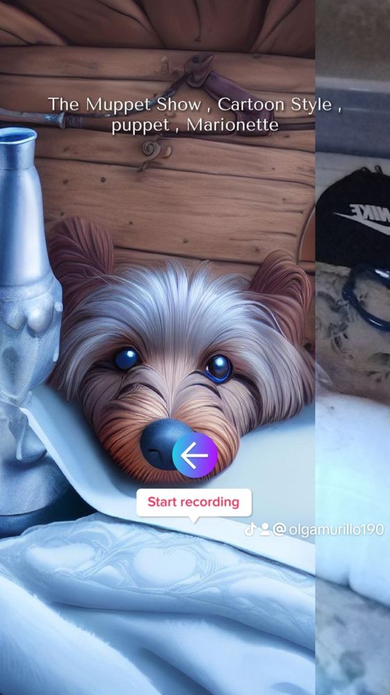 YUMA PET HOTEL AND RESORT Updated September 2024 12 Reviews 1161