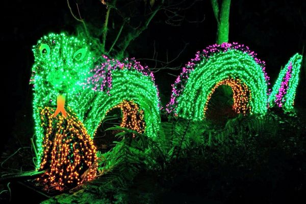 Garden d’Lights by null