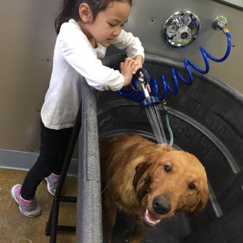 Bath & Biscuits - It's so easy even a 5 year old can do it! - Pet Stores Near Me - Sacramento, California Bath & Biscuits - It's so easy even a 5 year old can do it! - Pet Stores Near Me - Sacramento, California