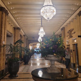The Roosevelt New Orleans, A Waldorf Astoria Hotel - Hotels Near Me - New Orleans, Louisiana The Roosevelt New Orleans, A Waldorf Astoria Hotel - Hotels Near Me - New Orleans, Louisiana