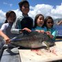 Photo of 808955FISH