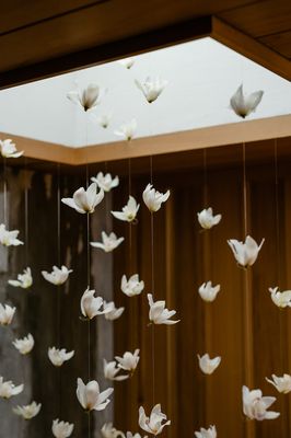 Carroll Hall by null