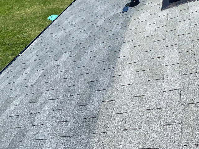 Slide of Bright Green Roof