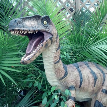 Wilson's Garden Center - T Rex can be yours for only $2400 - Nurseries & Gardening Near Me - Newark, Ohio