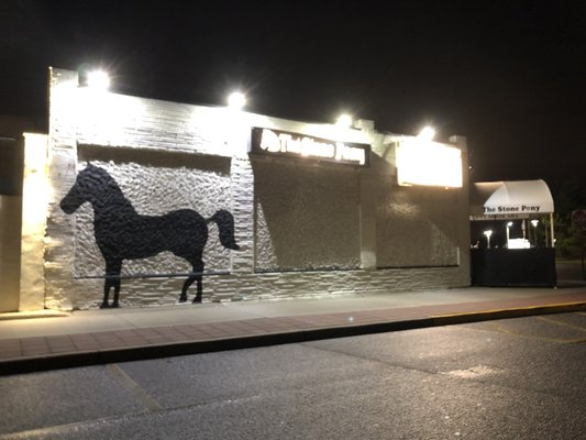The Stone Pony by null