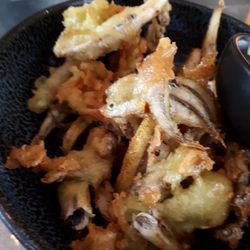 Pura Vida - Spiering in tempura.