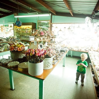 The Shell Shop - Arts & Crafts Near Me - Morro Bay, California The Shell Shop - Arts & Crafts Near Me - Morro Bay, California