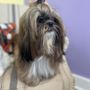 Photo of Lillybug's Pet Spa