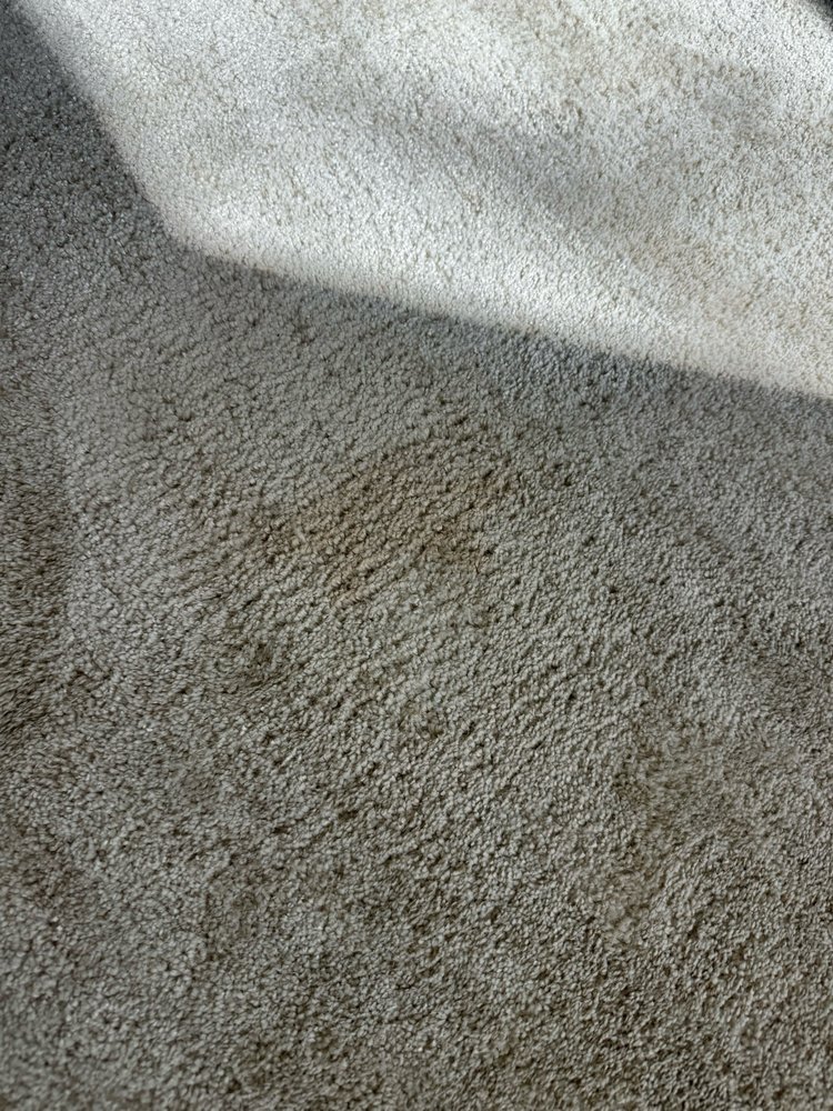 Marvic Carpet Steam Cleaning Marvic Carpet Steam Cleaning