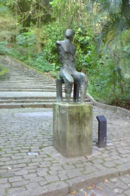 Rodrigo de Freitas Lagoon by null