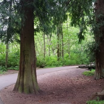 Bradley Lake Park - Parks Near Me - Puyallup, Washington