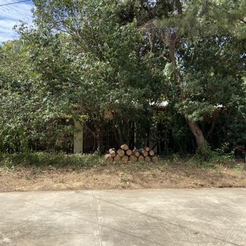 Tactical Tree Operations - 3. Trunk is stacked for firewood and driveway is cleaner than before they started. - Tree Services Near Me
