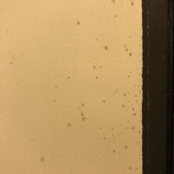 悅來酒店 - Mold spots almost covered the entire interior aspect of the bathroom door. - Hotels Near Me - Hong Kong, HK 悅來酒店 - Mold spots almost covered the entire interior aspect of the bathroom door. - Hotels Near Me - Hong Kong, HK