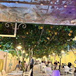 Ristorante Pineta 1903