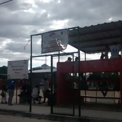 Broncos Beisbol - Entrada