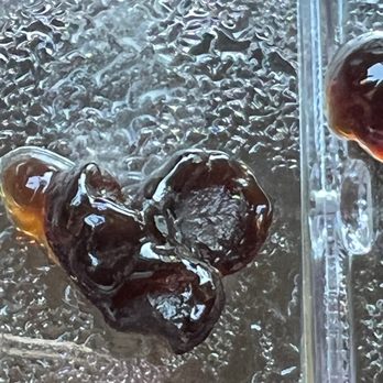 Brecotea - Bob's brown sugar - Bubble Tea Near Me - Cary, North Carolina