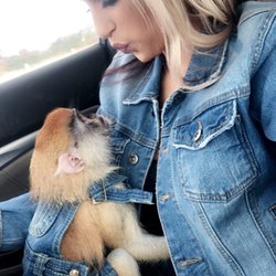 Critters Exotic Pets