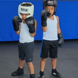 Dan's Boxing