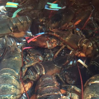 Lobster Connection - Seafood Near Me - Tilton, New Hampshire Lobster Connection - Seafood Near Me - Tilton, New Hampshire