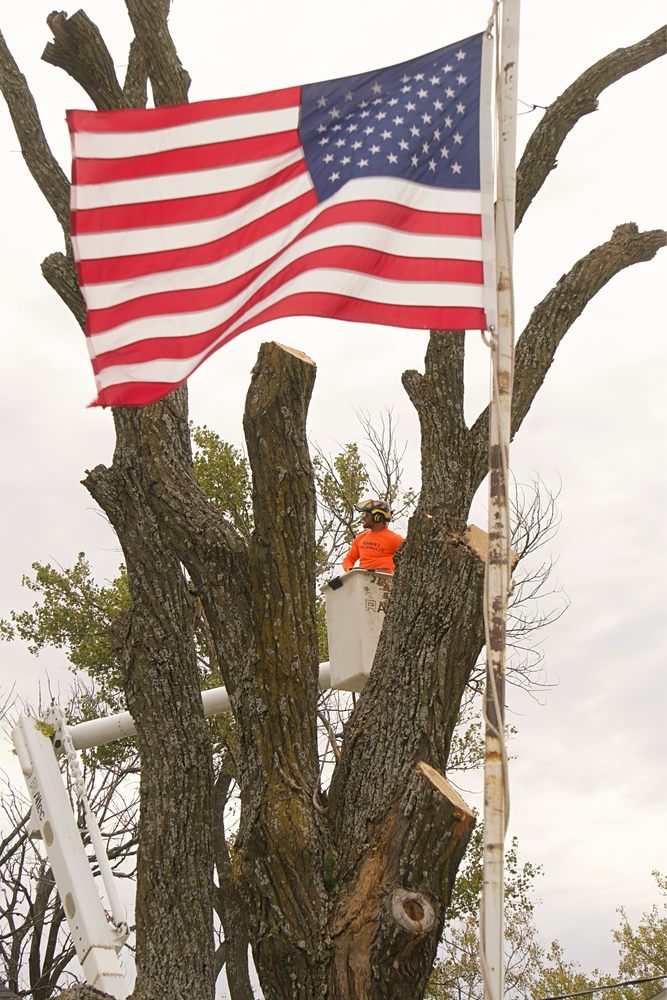 Kohnen’s Tree Service - tree service in Wichita, KS