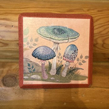 The Shroom Room - Coffee & Tea Near Me - Payson, Arizona