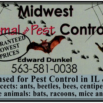 Midwest Animal and Pest Control - Pest Control Near Me - Dubuque, Iowa Midwest Animal and Pest Control - Pest Control Near Me - Dubuque, Iowa