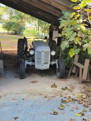 Cape Fear Botanical Garden by null