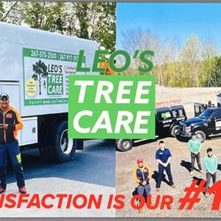 Leo's Tree Care - Leo's Tree Care is a uniquely designed company where the owner of the company, Leo, remains in the field as the Crew Leader.