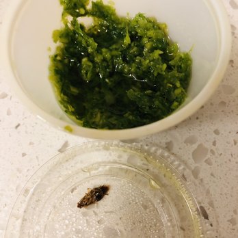 Szechuan First Restaurant - Cockroaches found in my ginger sauce - Szechuan Near Me - Kent, Washington Szechuan First Restaurant - Cockroaches found in my ginger sauce - Szechuan Near Me - Kent, Washington