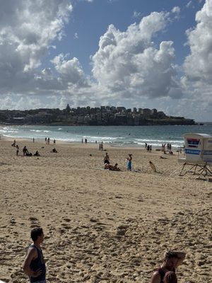 Bondi Beach by null