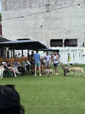 Dog Daze Social Club by null