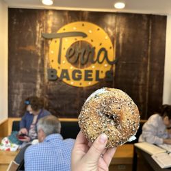 Terra Bagels - Everything bagel, vegan herb cream cheese